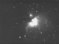 m42-050906ny.jpg