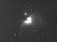 m42-050907ny.jpg