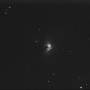 m42-050902fuchu.jpg